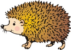 Igel.tif